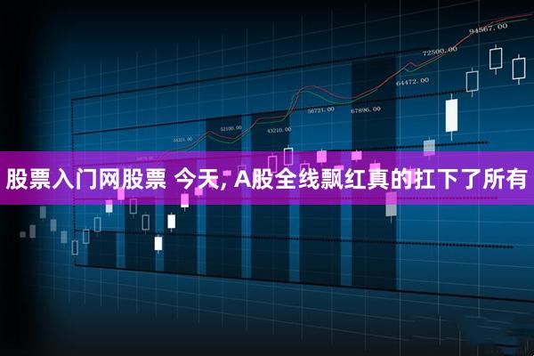 股票入门网股票 今天, A股全线飘红真的扛下了所有