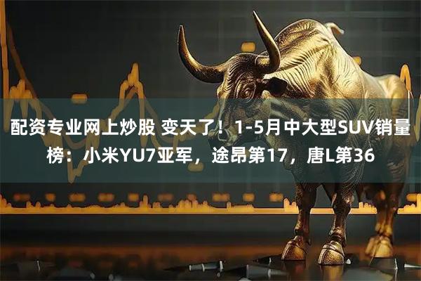 配资专业网上炒股 变天了！1-5月中大型SUV销量榜：小米YU7亚军，途昂第17，唐L第36